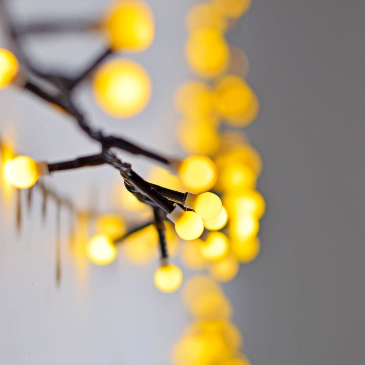 Mini Warm White Berry String Lights with Timer - 12 Metres String Lights Lyyt 